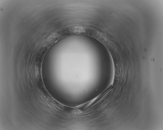 X0000060770704200511241754