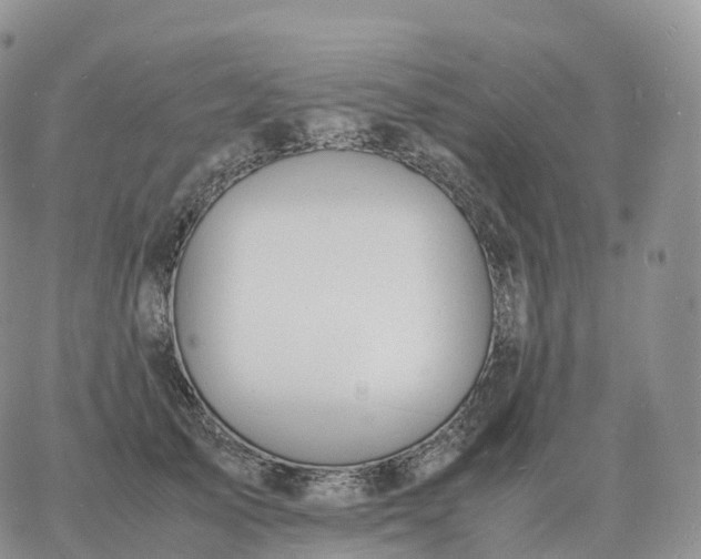 X0000060770705200511241754