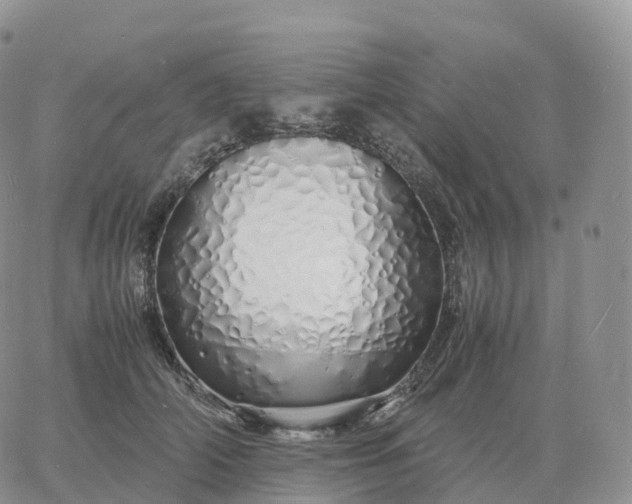 X0000060770706200511241754