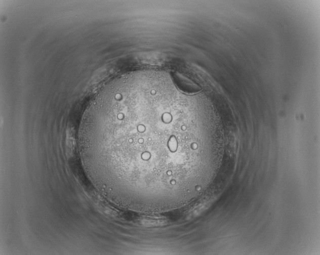 X0000060770707200511241754