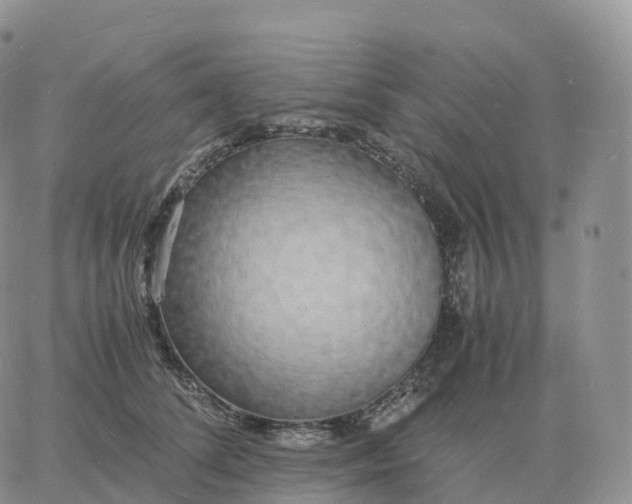 X0000060770708200511241754