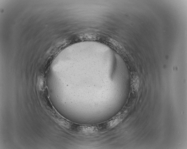 X0000060770709200511241754