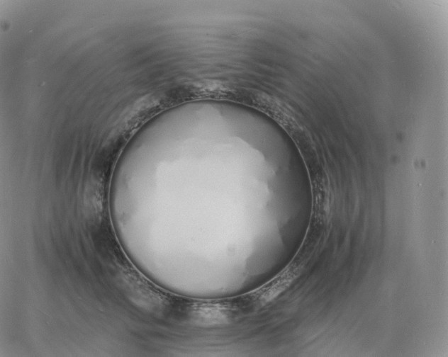 X0000060770710200511241754