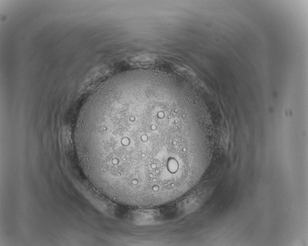 X0000060770711200511241754