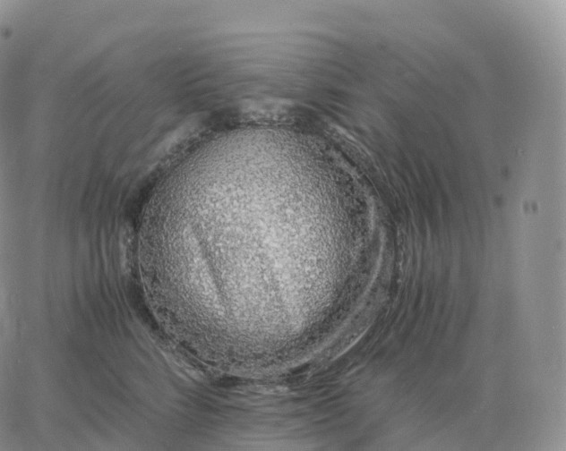 X0000060770712200511241754