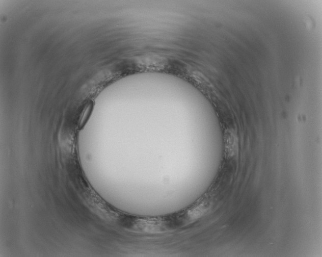 X0000060770713200511241754