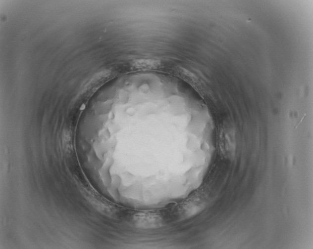 X0000060770714200511241754