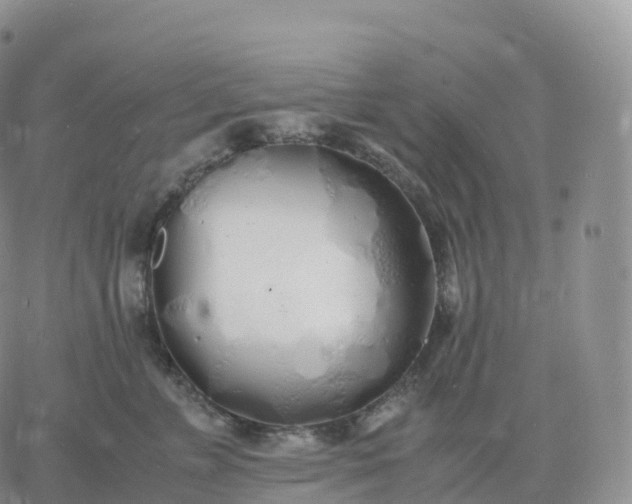 X0000060770715200511241753