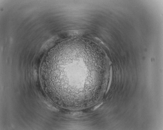 X0000060770716200511241753