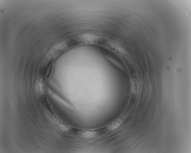 X0000060770718200511241753