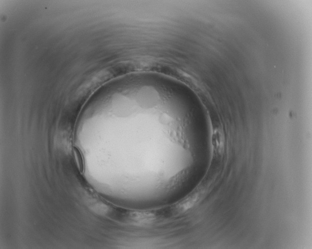 X0000060770719200511241753