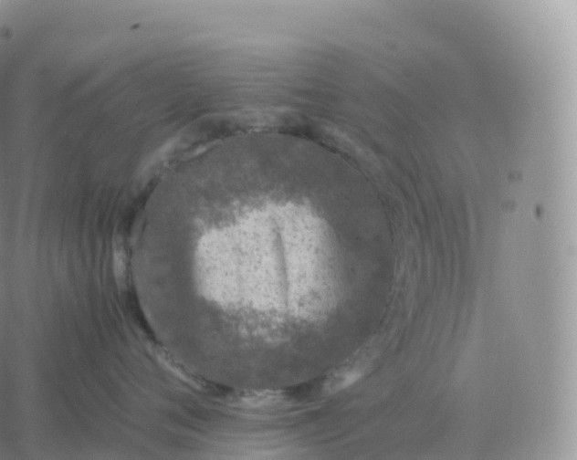 X0000060770720200511241753