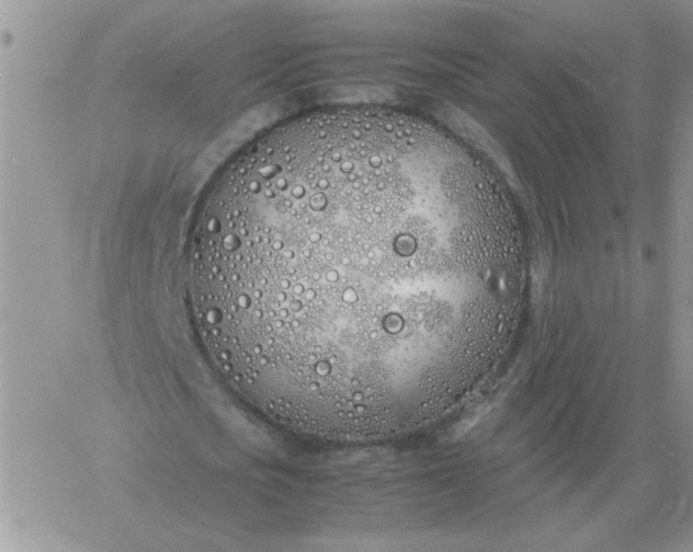 X0000060770721200511241753