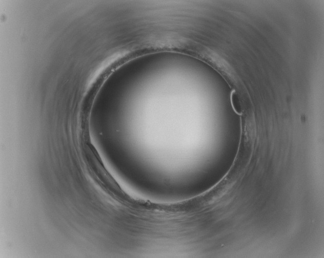 X0000060770722200511241753