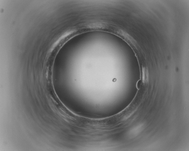 X0000060770723200511241753