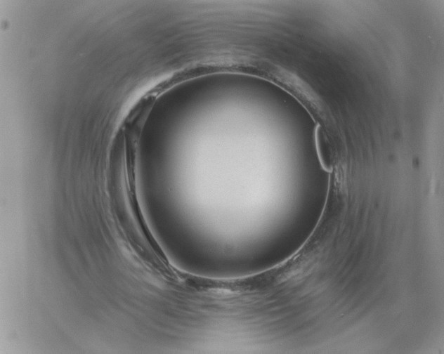 X0000060770724200511241753