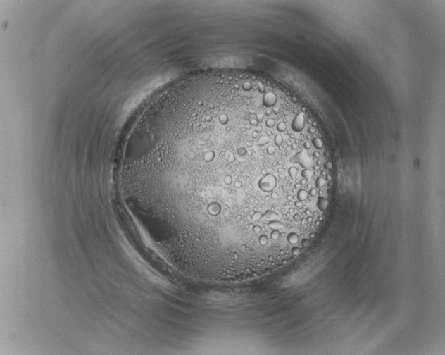 X0000060770725200511241753