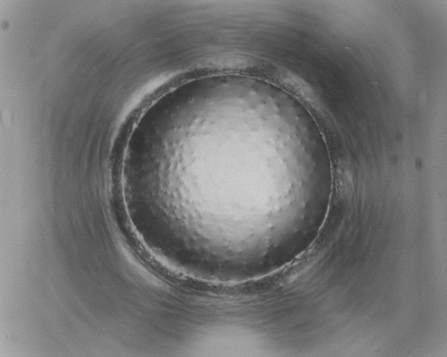 X0000060770726200511241753