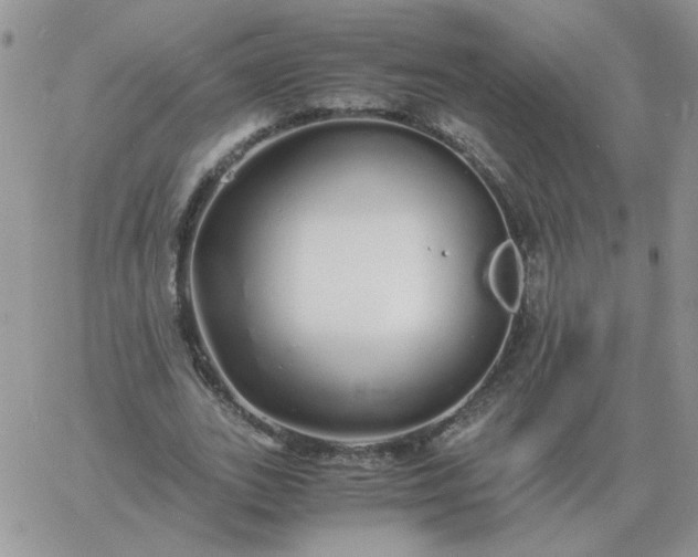 X0000060770727200511241753