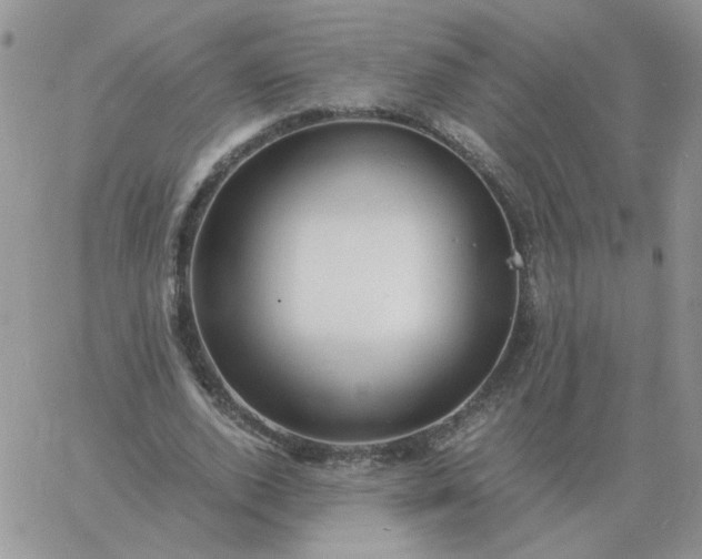 X0000060770728200511241753