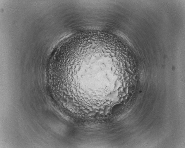 X0000060770729200511241753