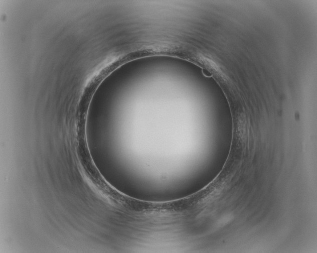 X0000060770730200511241753