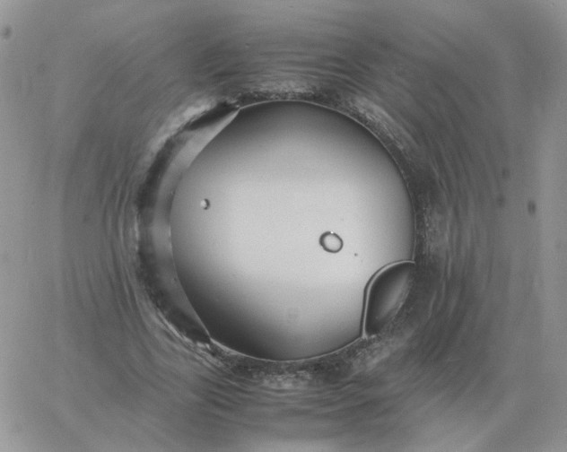 X0000060770731200511241753