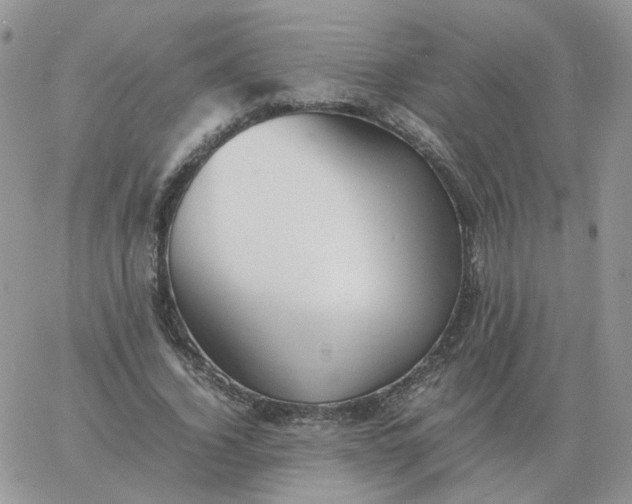 X0000060770732200511241753