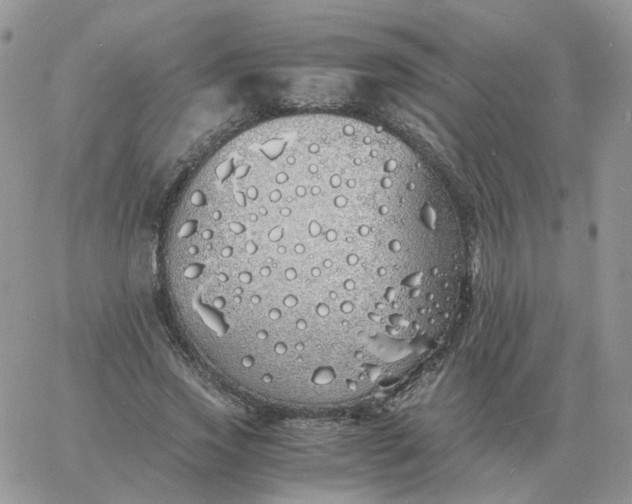 X0000060770733200511241753