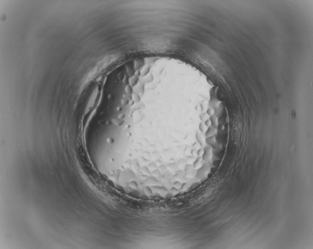 X0000060770734200511241753