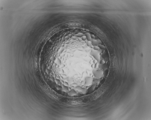 X0000060770737200511241753