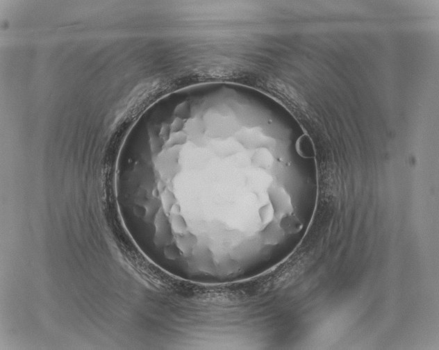 X0000060770738200511241753