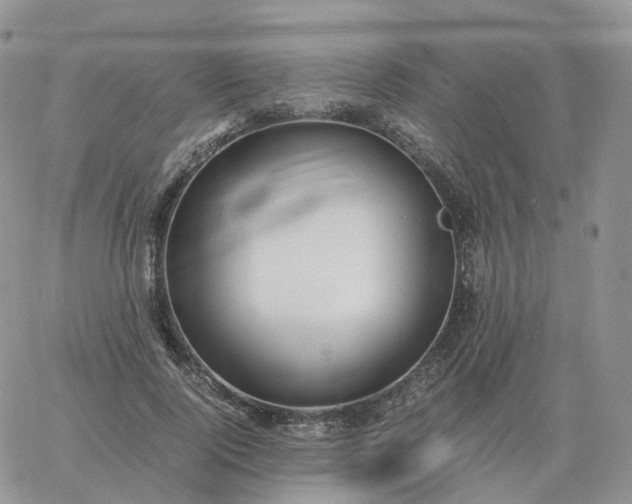 X0000060770740200511241753