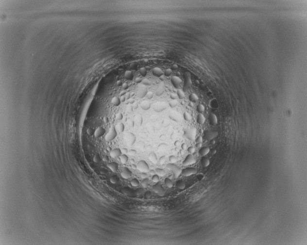 X0000060770741200511241753