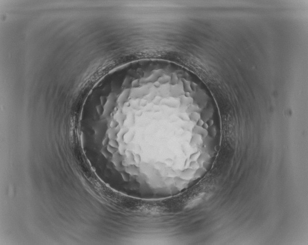 X0000060770742200511241753