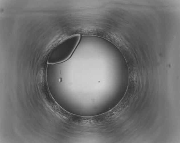 X0000060770744200511241753