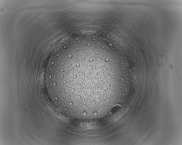 X0000060770745200511241753