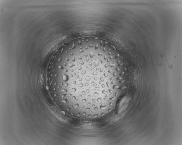 X0000060770746200511241753