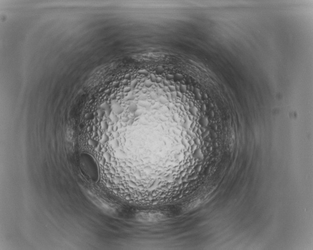 X0000060770749200511241753