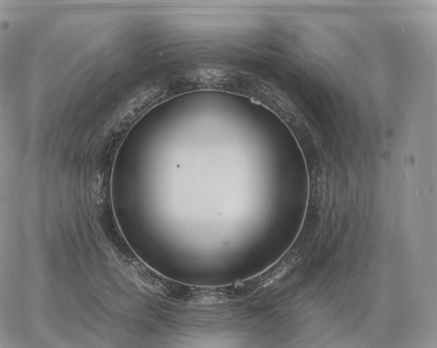 X0000060770750200511241753