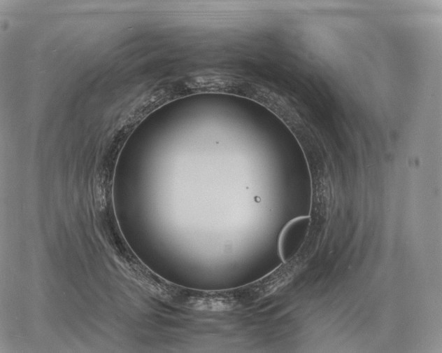 X0000060770751200511241753