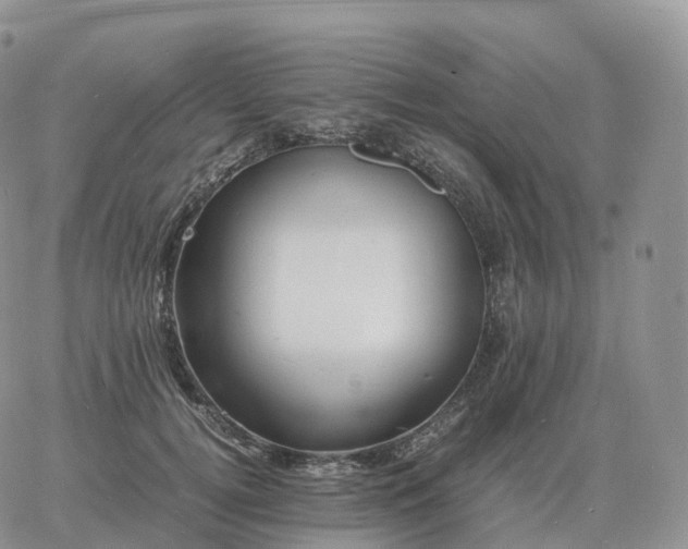 X0000060770752200511241753