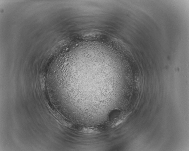 X0000060770753200511241753