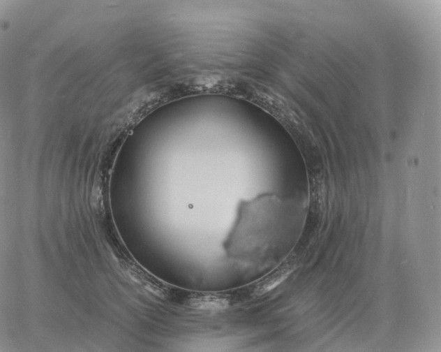 X0000060770754200511241753