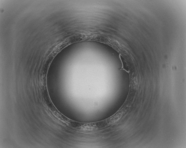 X0000060770756200511241753