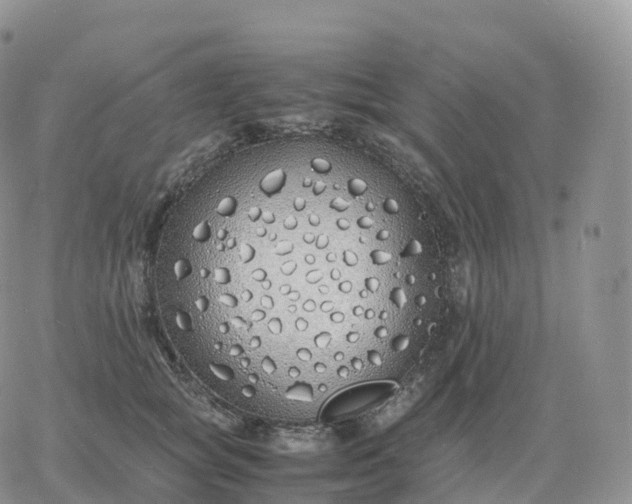 X0000060770757200511241753