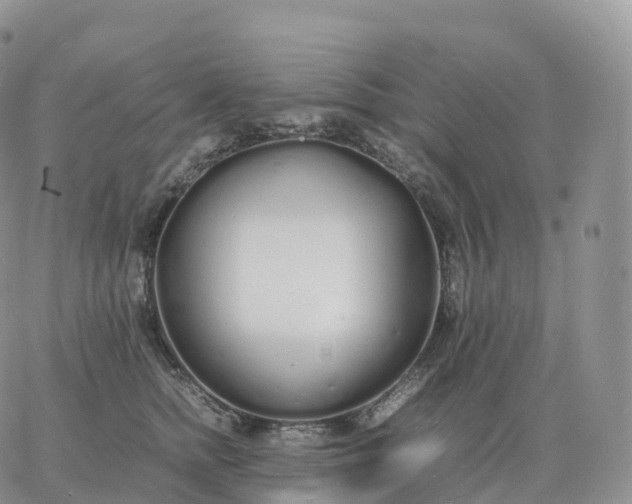 X0000060770758200511241753