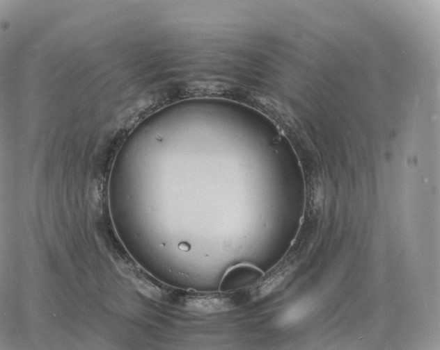 X0000060770759200511241753