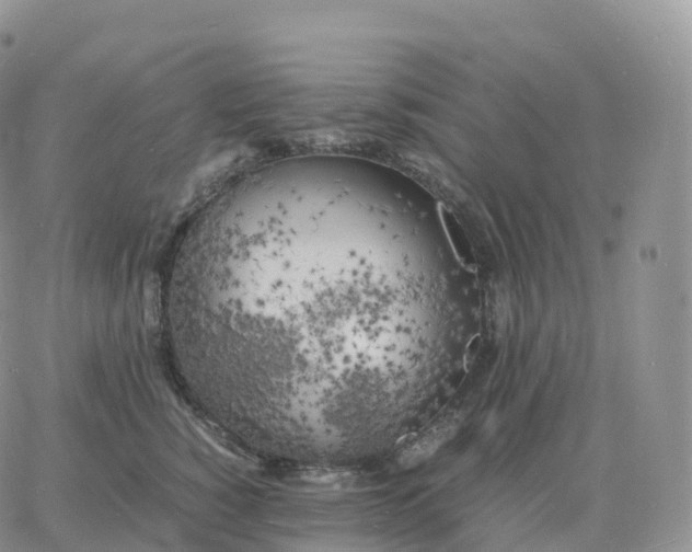 X0000060770760200511241753