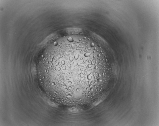 X0000060770761200511241753